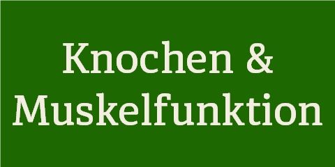 Knochen & Muskelfunktion